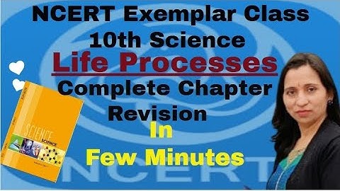 LIFE PROCESSES | NCERT EXEMPLAR |