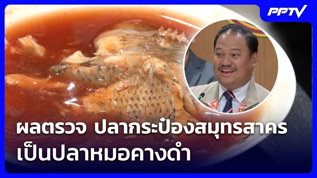“ณัฐชา” แฉผลตรวจซ้ำ ปลากระป๋องสมุทรสาคร เป็นปลาหมอคางดำ | จับข่าวคุย | 14 ก.ค. 69