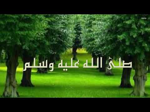 رسول الله ياخير الأنام 