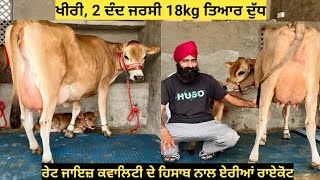 ਬਾਈ ਗੁਰਮੁਖ ਕੋਲ 4 ਜਰਸੀ ਵੇਹੜਾ ਵਿਕਾਊ 2 ਦੰਦ ਕੋਲ 18kg ਦੁੱਧ ਤਿਆਰ ਖ਼ਿਰੀ ਗੱਬਣ sexsed ਸੀਮਨ ਤੋਂ 2 ਦੰਦ ਤਾਜ਼ੀ ਸੂਈ