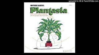 Mort Garson - Mother Earth&#39;s Plantasia - 08 You Don&#39;t Have to Walk a Begonia