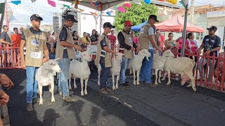 2ª EXPOVILA VILA DO PARÁ St.C.CPE ANO 2024