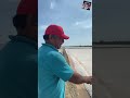 🏖️😎