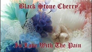 Black Stone Cherry - In Love With The Pain