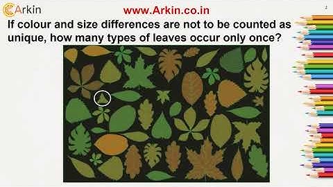 Check your observation power by this UCEED 2021 Q. 18