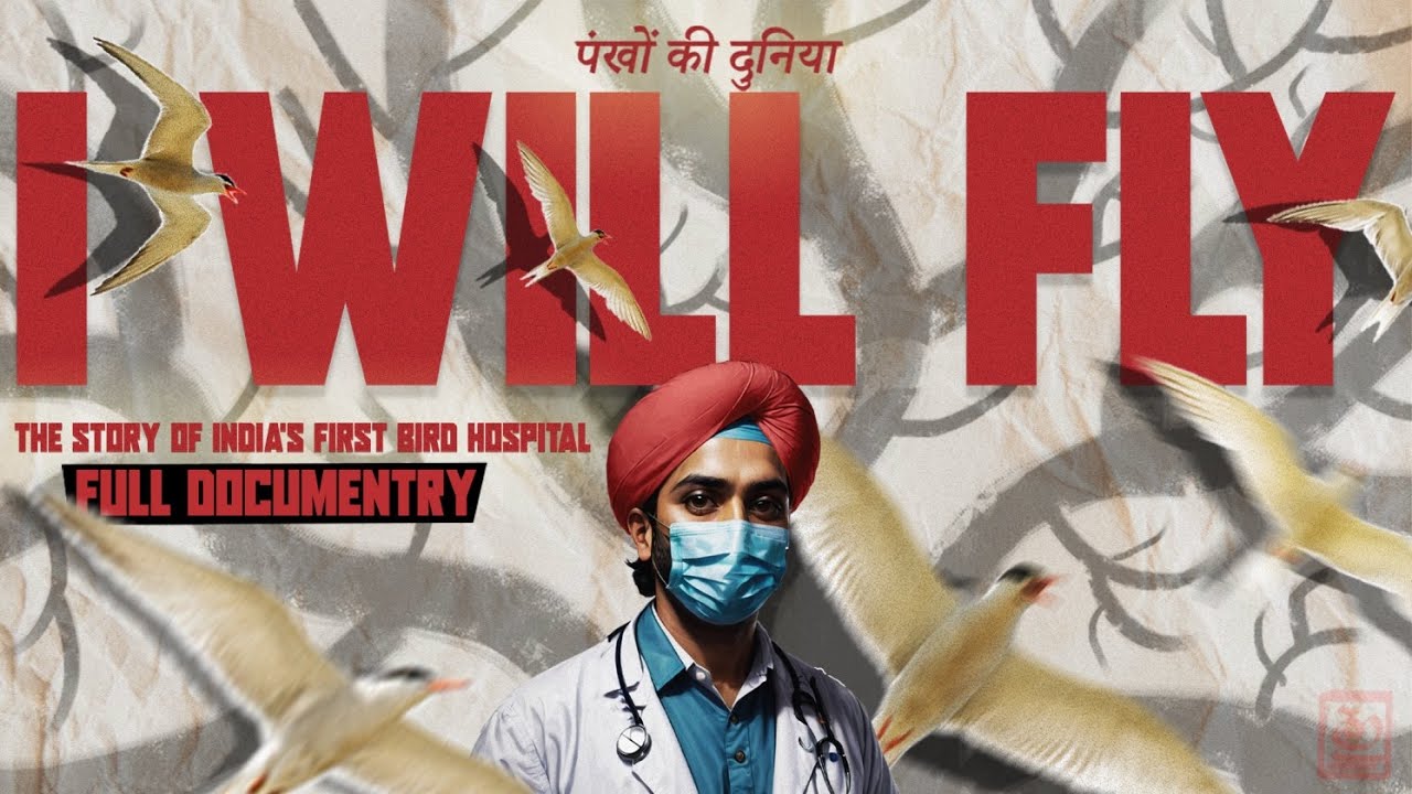 I WILL FLY पंखों की दुनिया INDIA's FIRST BIRD HOSPITAL DELHI