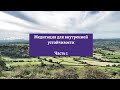 Медитация для внутренней устойчивости (часть 1)