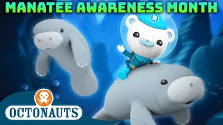 @Octonauts -  🛟 Manatee Rescue Operation ⛑️  | Manatee Awareness Month | 40 Mins+ Compilation