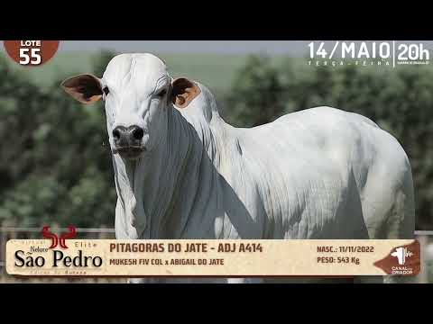 LOTE 55   ADJ A414