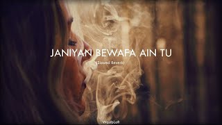 Naseebo Lal Janiya Bewafa Hai Tu New Panjabi Song By DJ Shery