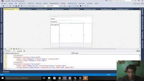 curso wpf practica 5 StackPanel