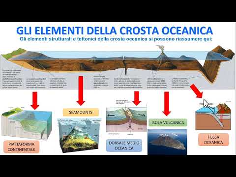 Video: Cosa sono i sedimenti del fondo marino?