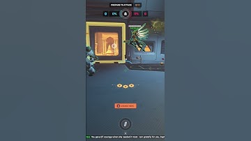 Wholesome Orisa & Sojourn Interaction