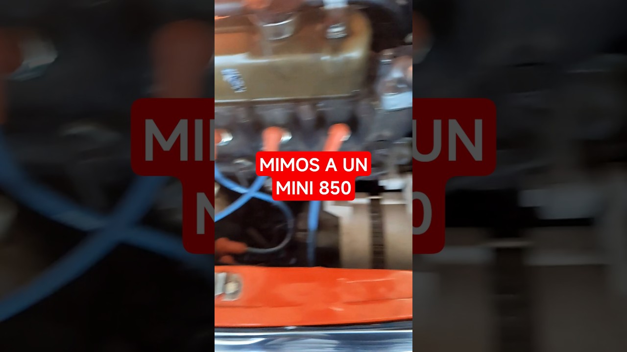 Dando mimos a un Mini 850