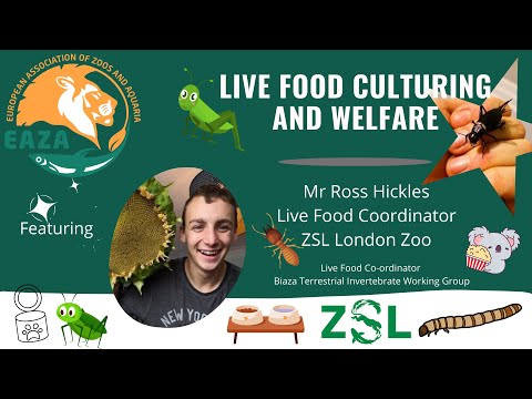 EAZA Animal Welfare Webinar Ross Hickles Live Food Culturing And Welfare 