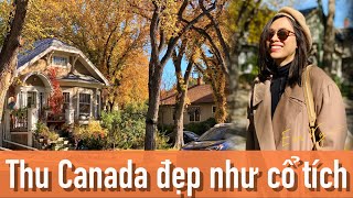Mùa đẹp nhất trong năm tại Canada | Autumn | Em Vy