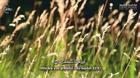 Surah Al Sajdah | سورة السجدة مترجمة | Ahmad Al Nufais | أحمد النفيس