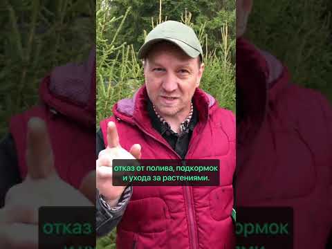 Что такое малоуходный