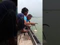 Lowering the Monster Trap! 🐓 Deep River Chicken Bait Adjustment! 🌊⚙️🎣 #troutreel