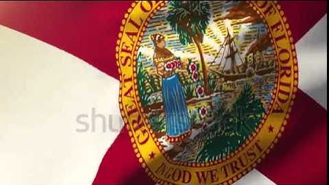 florida flag waving in the wind. Looping sun rises style. Animation loop Stock video by