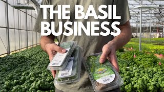 From Seed to Sale: Profitable Basil