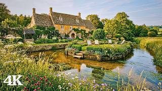 English Countryside River Garden | Slow Your Heartbeat Down with Gentle Water, Birdsong & Frogs screenshot 1