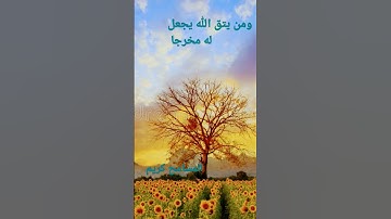 القرآن الكريم/بصوت الحاج عامر الكاظمي//اللهم صلى وسلم على نبينا محمد ( السلام عليكم )