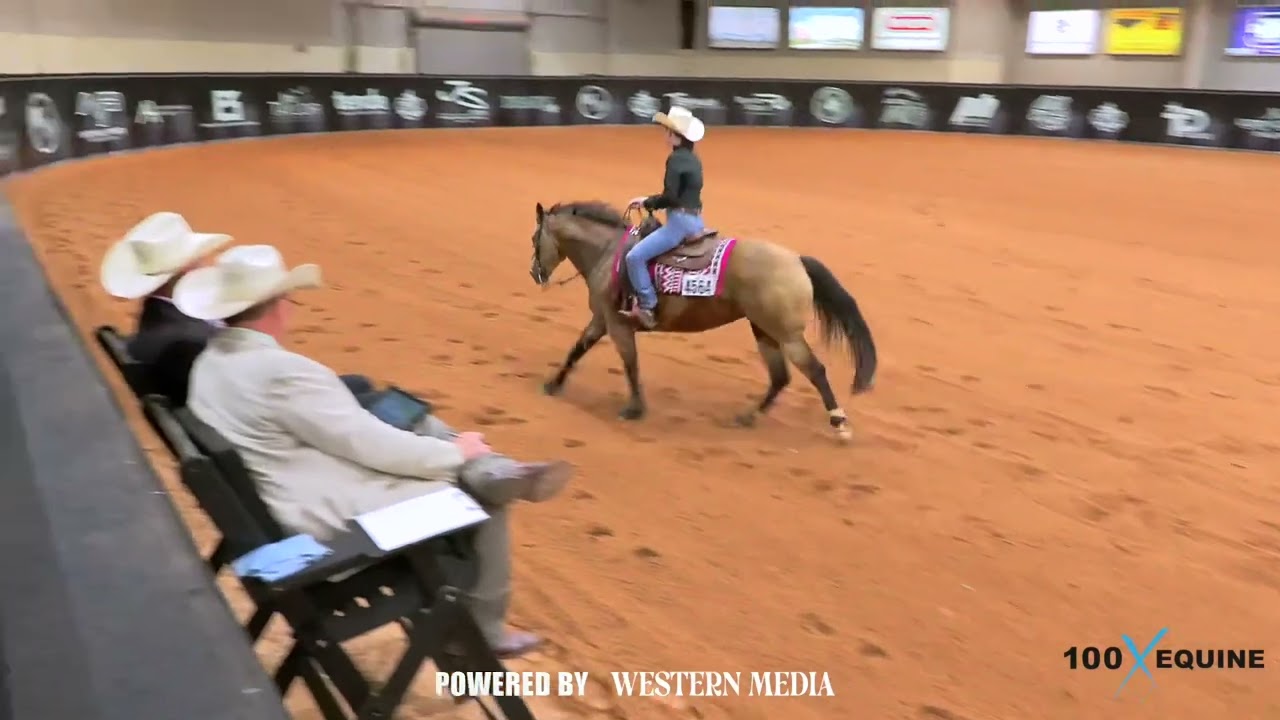 100x Waco Score 141.5. Placed 3rd in L1 NP Novice Horse. Pattern 14.