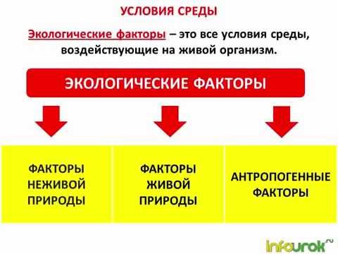 Экологические факторы среды