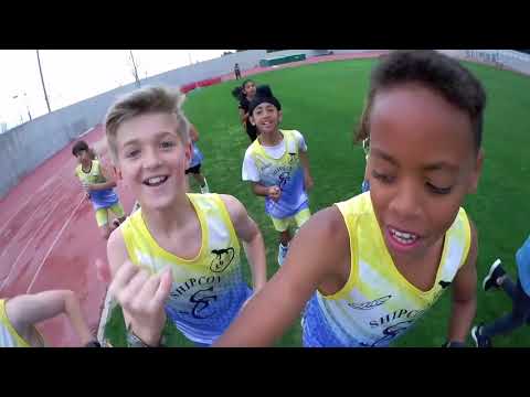 Limassol Lizards Running
