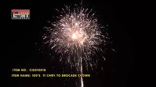 CI2010018