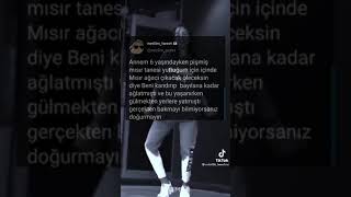 Tik Tok tweet akımı Resimi