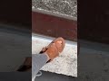 One small jump, one big risk