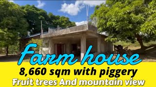 V37924 Farm house and lot 8,660 sqm with piggery, fruit trees and mountain view | nasugbu batangas