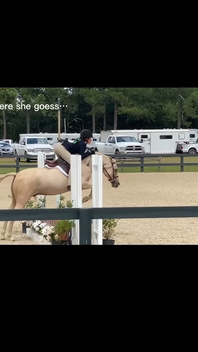aiken-charity-horse-show-4-years-apart-youtube