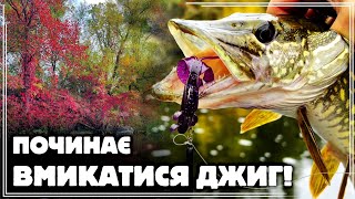 картинка: ✅️ ЩУКА на ДЖИГ ‼️ Почався АТКИВНИЙ КЛЬОВ ЩУКИ на СИЛІКОН 🎣🔥 Сплав по річці ПСЕЛ в ЗОЛОТУ ОСІНЬ🍂🍁