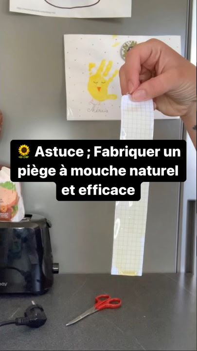 Comment faire un piège à moucherons 🪰