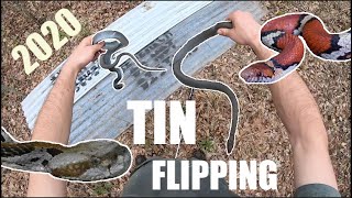 Flipping Tin and Boards For SNAKES 2020 Compilation (Part 1)