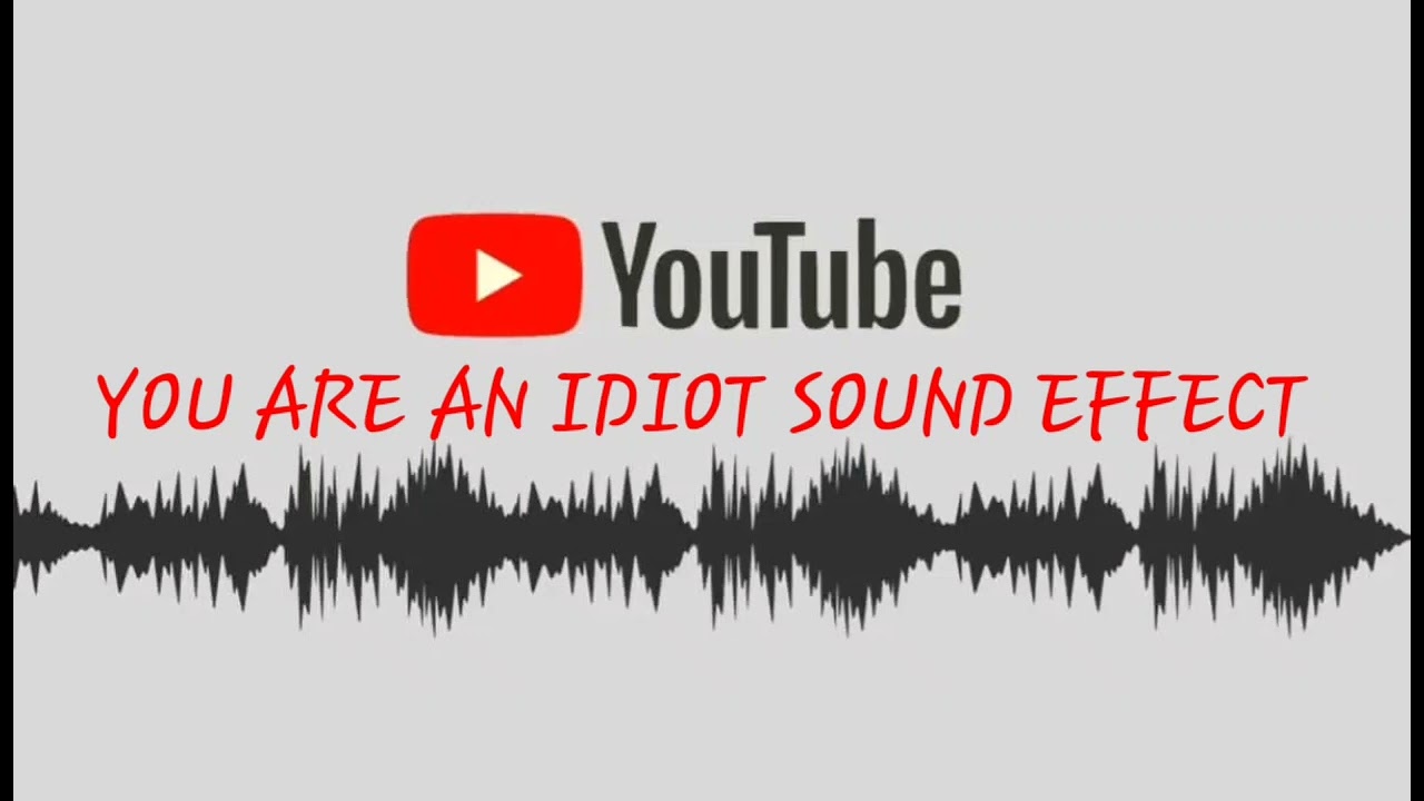 HD - You are An Idiot Sound Effect 