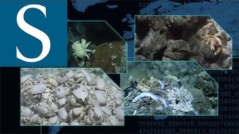 Exploring our Oceans MOOC | University of Southampton