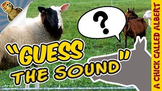 Can A Bird Become A Dog? - Guess The Sound #1