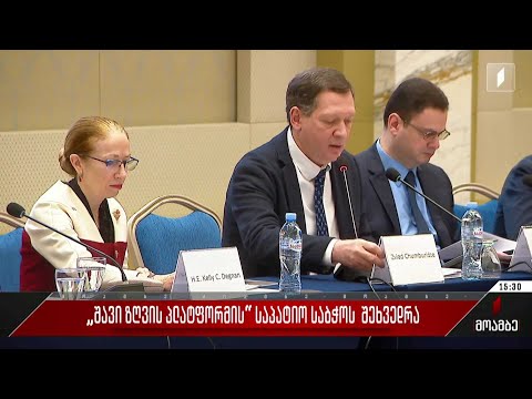 „შავი ზღვის პლატფორმის“ საპატიო საბჭოს შეხვედრა