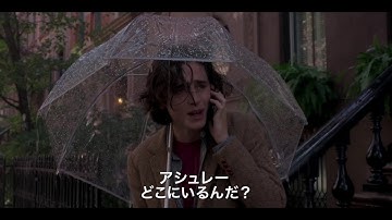 映画『レイニーデイ・イン・ニューヨーク』予告編（30秒版）