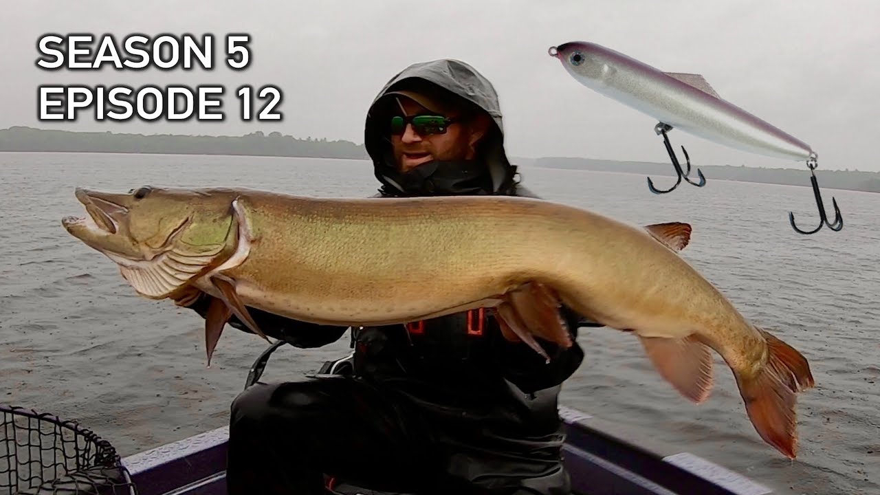 Big Glide Baits For Big Muskies! S5.E12