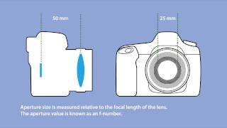 Focal length, apertures and f numbers - an infographic