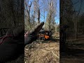 Steep Overgrown Land? This Forestry Mulcher Can Handle It