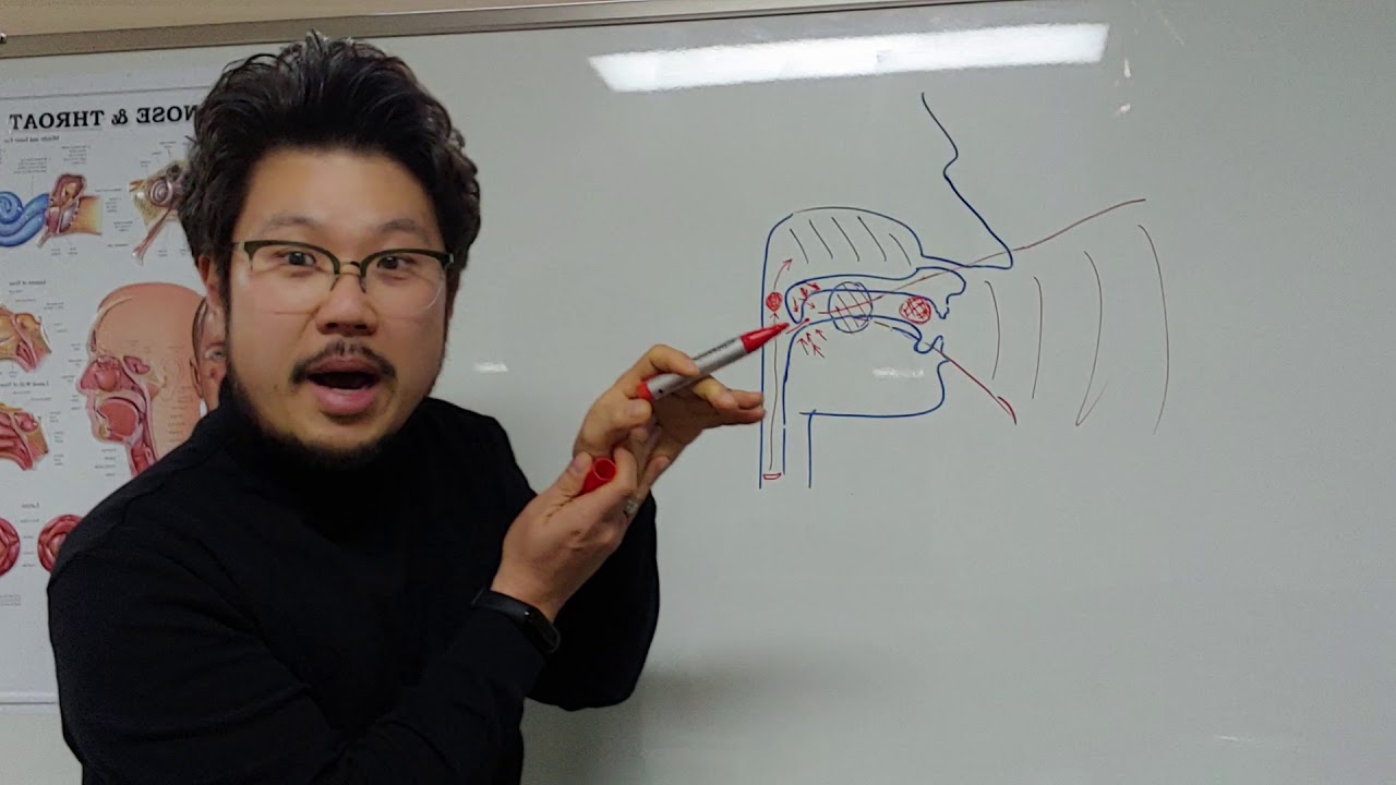 [이것이 벨칸토다-89] 연구개를 내리고 호흡 유지하기