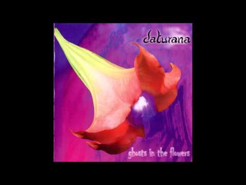 Daturana - Follow me (Into the Sky)