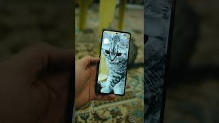 هەموو داواکارییەکانی تۆ لە یەک مۆبایل 🥇⚠️