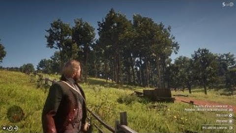 Red Dead Redemption 2 random event 1